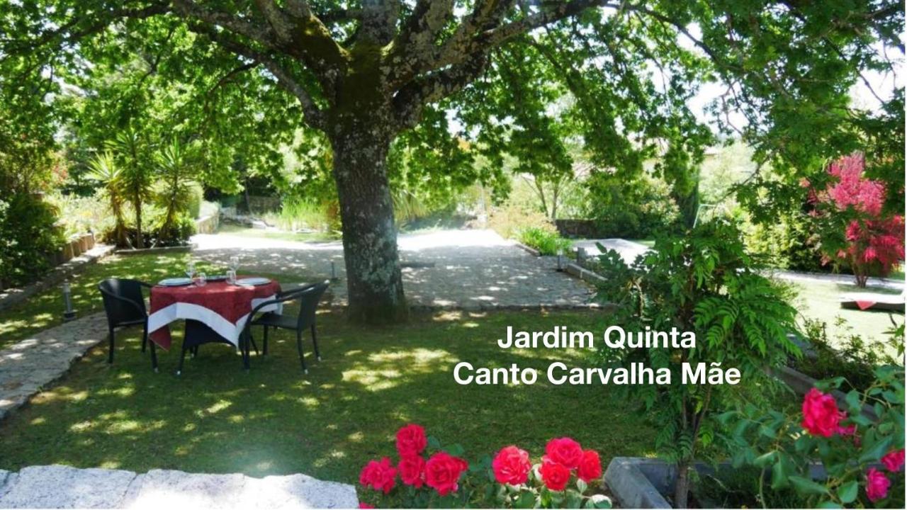 Quinta Monteluz Apartment Висеу Екстериор снимка